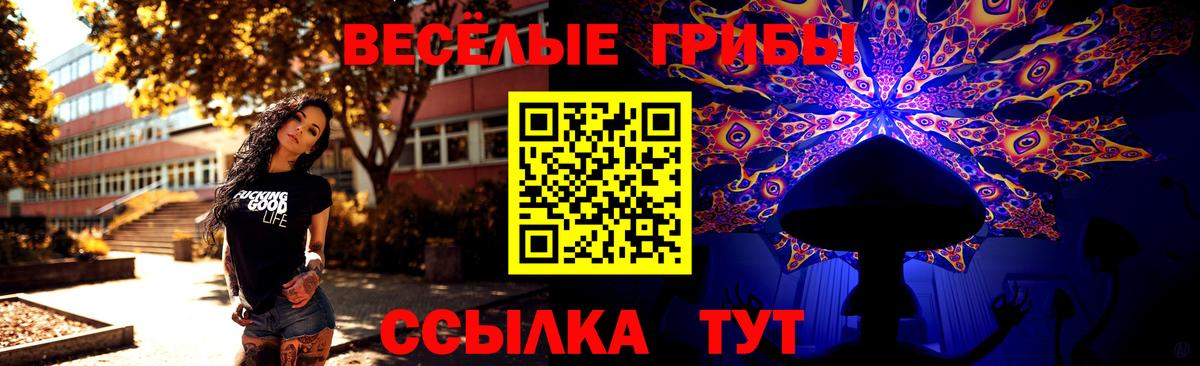 Псилоцибиновые грибы Psilocybe Котлас