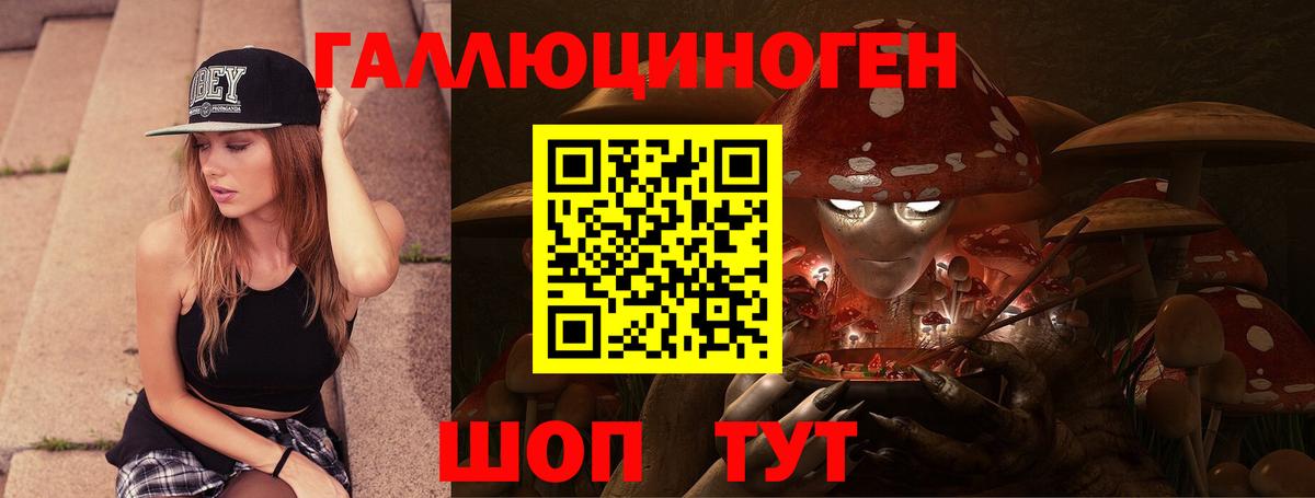 Котлас  Псилоцибиновые грибы Psilocybe  Вход с VPN 